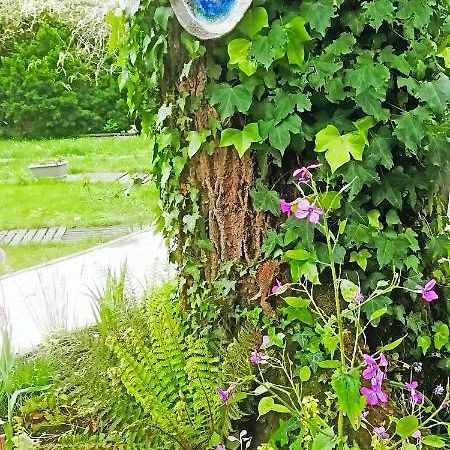 Saint-Elix-le-ChateauMirguet Au Jardin公寓 外观 照片
