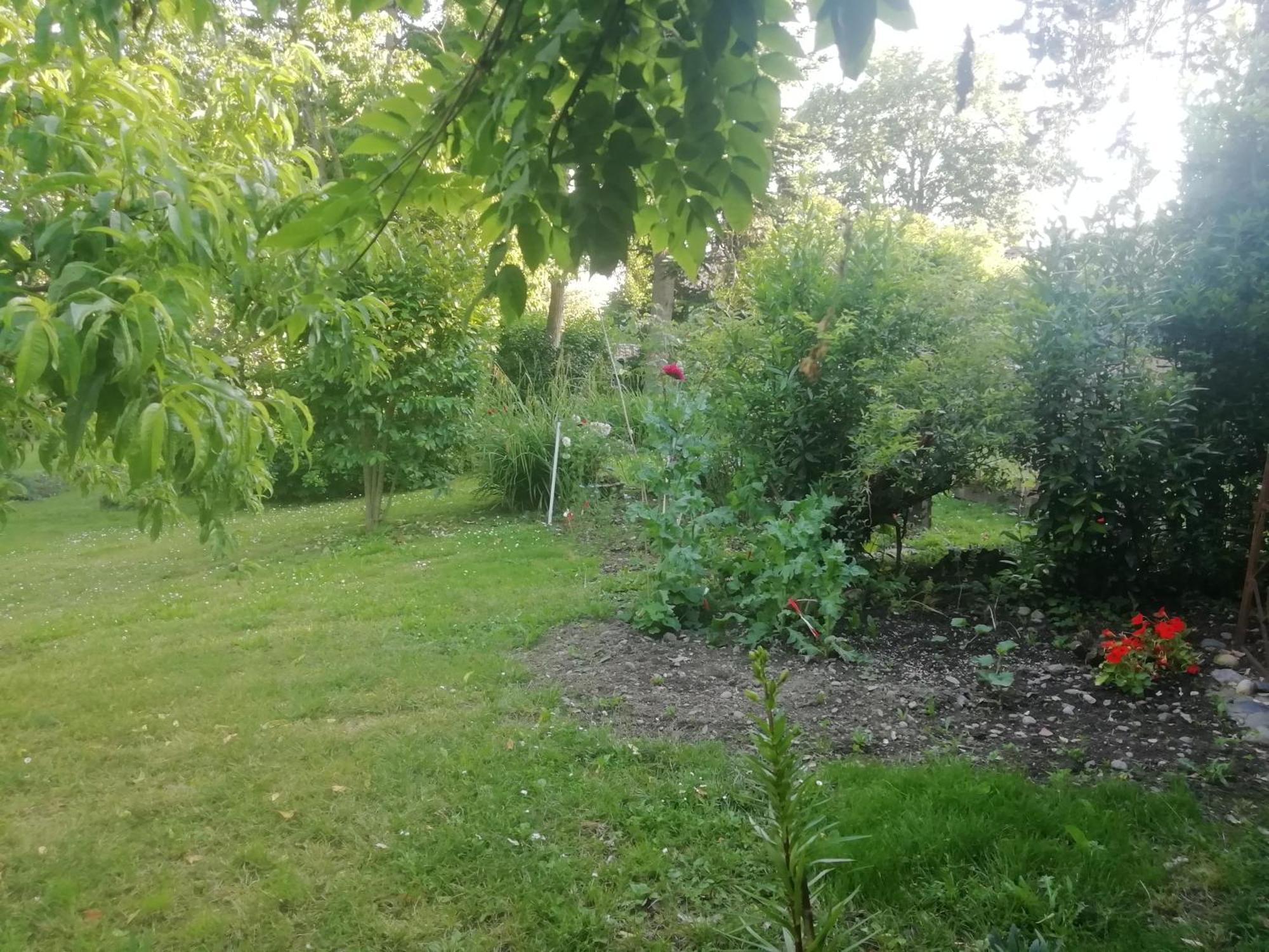 Saint-Elix-le-ChateauMirguet Au Jardin公寓 外观 照片